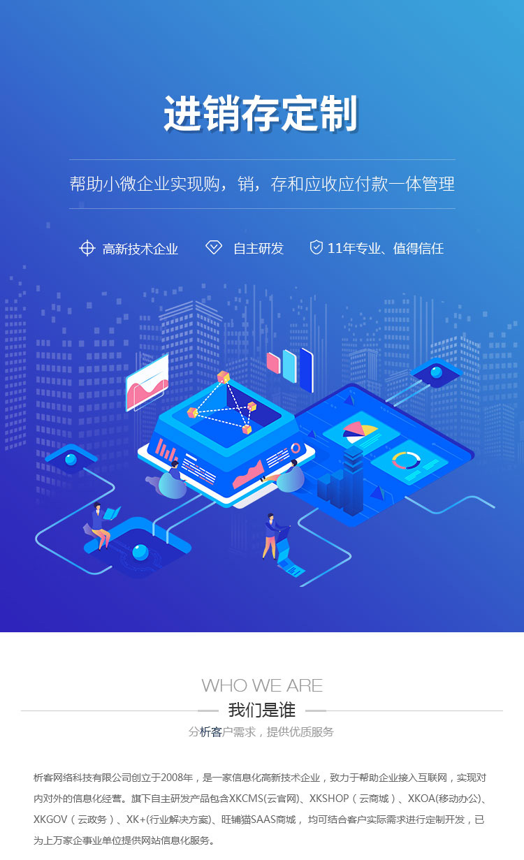 企业运营中的进销存系统定制:高效管理新路径
